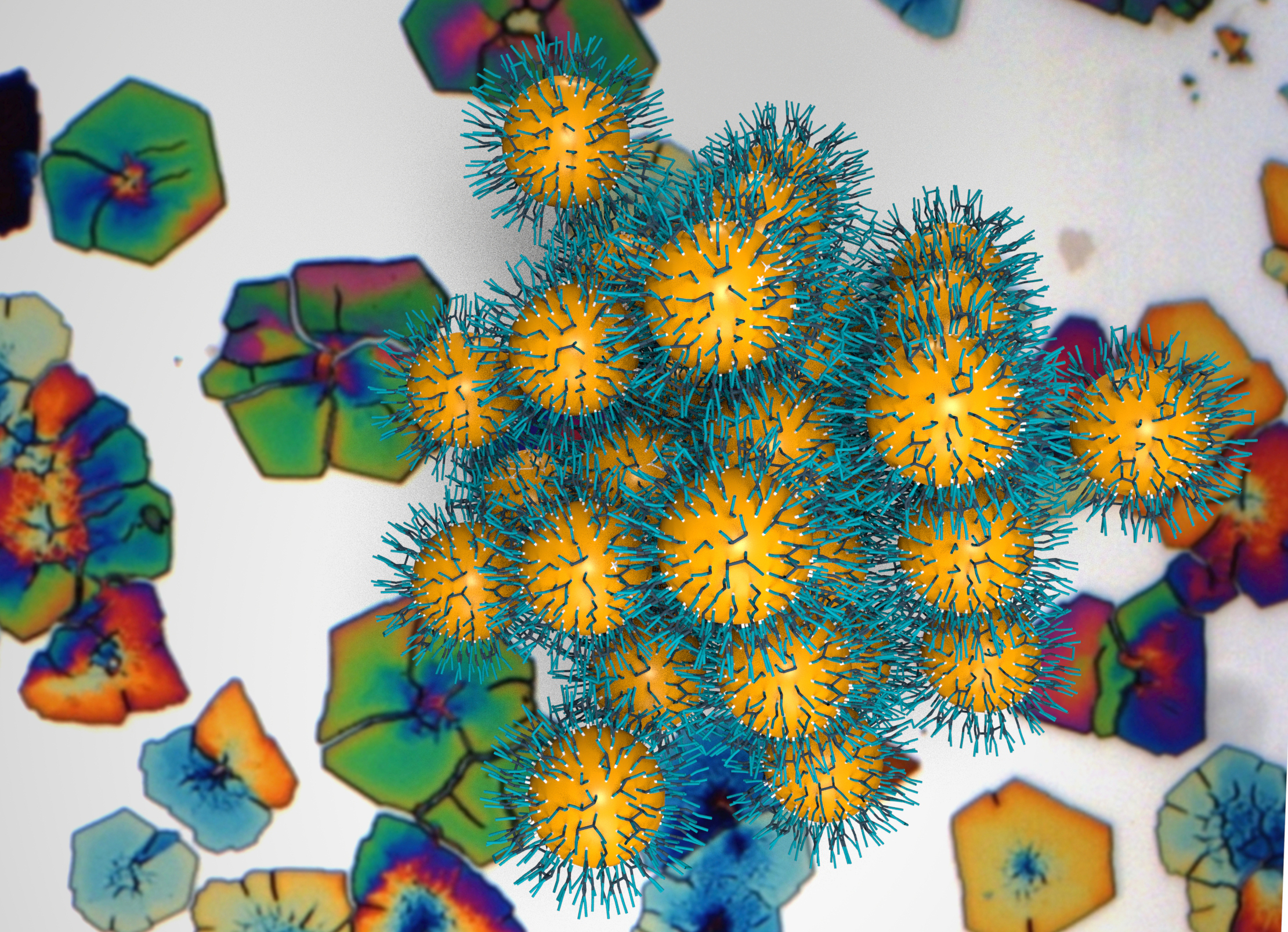 Super Nanoparticle Superlattices