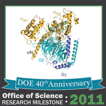 2011 BES – Setting the Cell in Motion