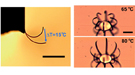 Three depictions of actuators shown in a micrograph.