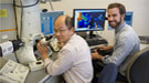 Two physicists looking through a microscope.