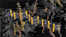 Microscopic view of DNA-tethered nanorods.