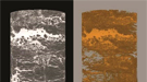 A reconstructed X-ray computed tomography image that reflects soil core structures.