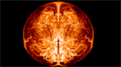 A slice through the interior of a supermassive star of 55,500 solar masses along the axis of symmetry. 