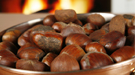 Research on blight resistance could one day return American chestnuts to holiday firesides.