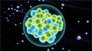 Element 117, first discovered by Lawrence Livermore researchers and Russian collaborators, has been reproduced by an international consortium.