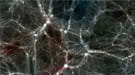 A small team of astrophysicists and computer scientists have created some of the highest-resolution snapshots yet of a cyber version of our own cosmos.