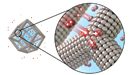 A team led by Argonne National Lab’s Dr. Vojislav Stamenkovic and Berkeley Lab’s Professor Peidong Yang designed platinum-nickel nanoframes with multilayered platinum skin structure. The structure catalyzes the oxygen reduction reaction (shown here) on the surface.