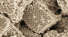 The Brookhaven team used nanosized building blocks—cubes or octahedrons—decorated with DNA tethers to coordinate the assembly of spherical nanoparticles coated with complementary DNA strands.