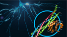 This illustration shows a protein complex at work in brain signaling. It contains two joined protein complexes: SNARE, shown in blue, red, and green, and synaptotagmin-1, shown in orange.