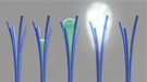  PNNL illustration of the phenomenon, "solvent cavitation under solvo-phobic confinement."
