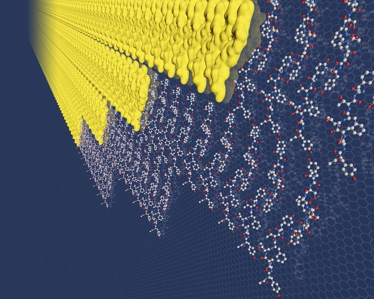 Peptides