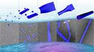 Scientists at PNNL have created a new family of nanotubes that are composed of peptide-like molecules called peptoids.