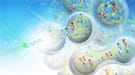 Short-range correlations among protons ans neutrons in the nucleus may account for the EMC Effect.