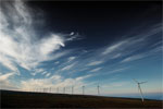 A line of windmills in the sunset