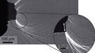 Micrograph of deformed notch in palladium-based metallic glass shows extensive plastic shielding of an initially sharp crack.