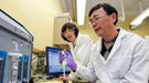 Two scientists working in a laboratory