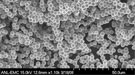 SEM of Carbon Spheres
