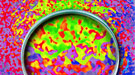 Coherent x-ray speckle pattern