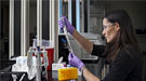 A scientist in the lab