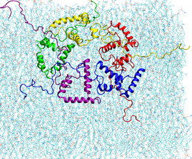 alpha synuclein