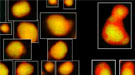 Portion of larger graphic: STEM/EELS microscope images revealing effects of aging to fuel cell catalyst nanoparticles. Color coding identifies elements in each nanoparticle.