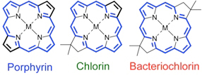 The three major types of pigments are relatively large, circular molecules.