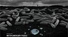 methylmercury