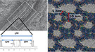 Microscopy (left) shows layers of the stratum corneum&rsquo;s waxy &ldquo;mortar&rdquo; in which keratinaceous &ldquo;bricks&rdquo; called corneocytes are embedded. The layers contain repeated short- and long-chain lipids. Molecular dynamics simulations performed on Titan (right) demonstrate that the long-chain fatty acids are crucial to keeping the skin barrier intact.