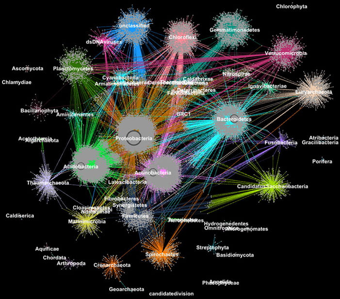 Multicolored network of circular clusters on a black background