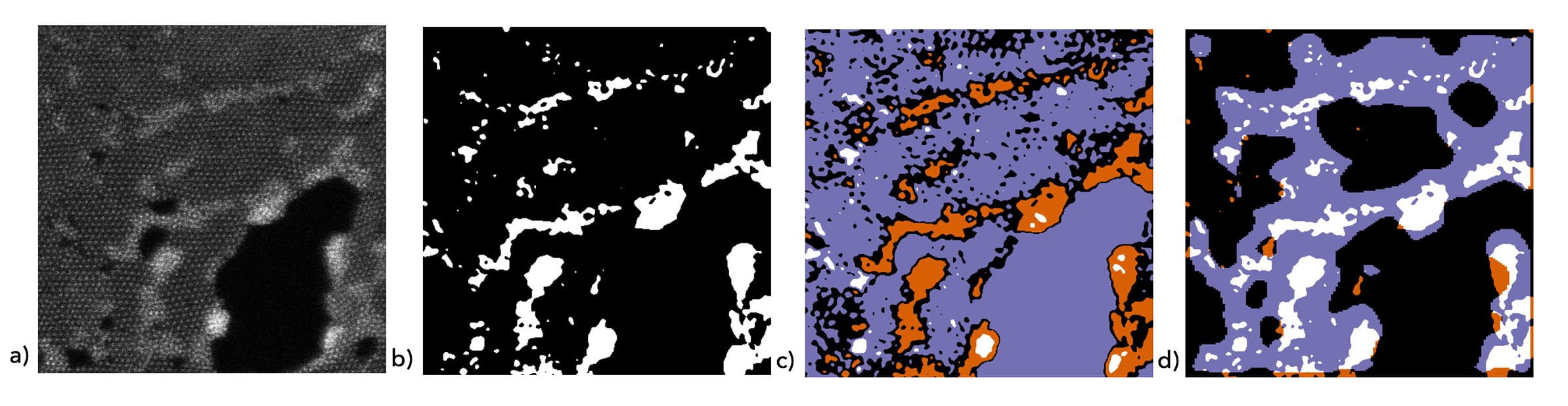 Four Electron Microscopy images