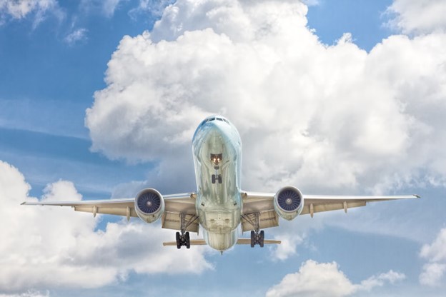 Pseudomonas putida is a useful microorganism for producing the sustainable aviation fuel precursor isoprenol due to its ability to use renewable sources of carbon. 