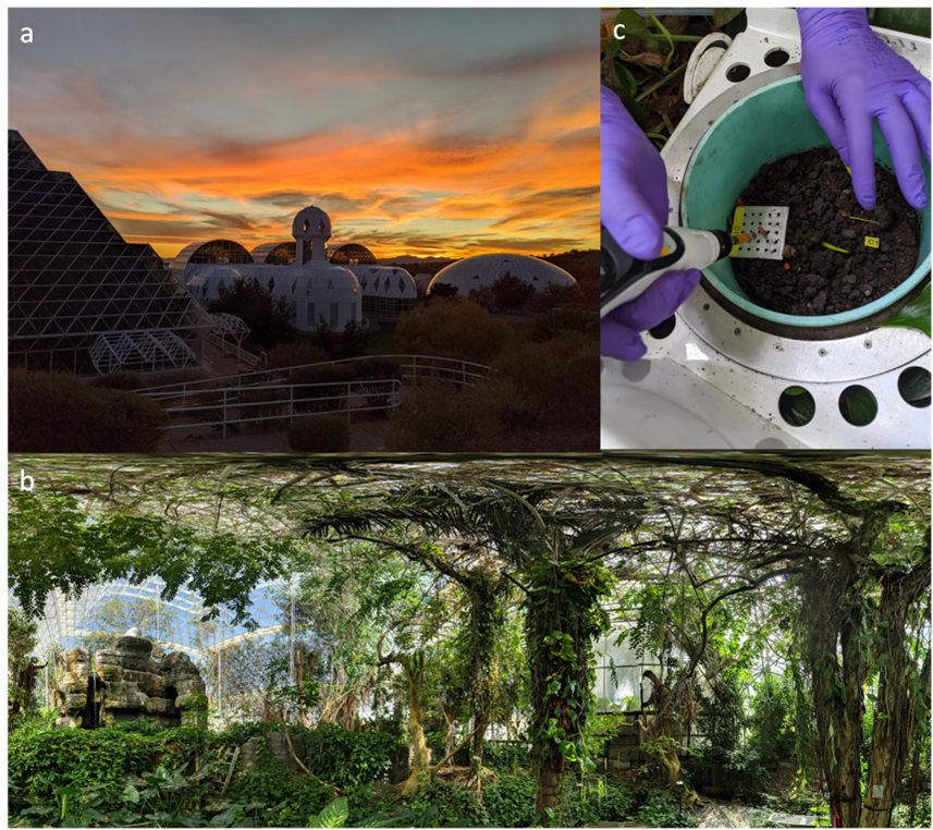 This image shows Bisophere 2 (a), which houses a tropical rainforest (b) where researchers performed an ecosystem-scale drought experiment. Researchers labeled the soil (c) to track the release of carbon dioxide and volatile organic compounds. 