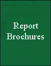 BRN Brochure