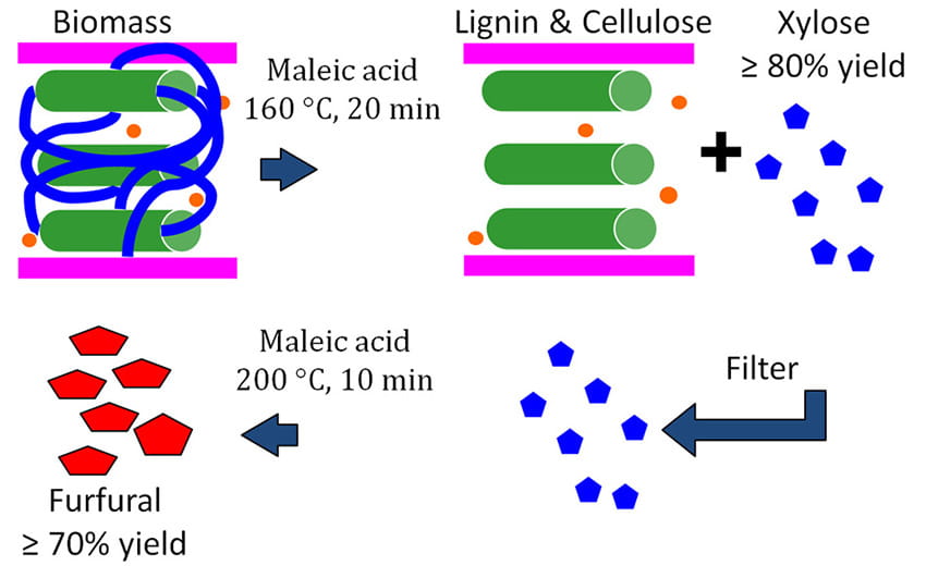 Selective hydrolysis and conversion of biomass hemicellulose to furfural