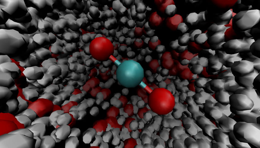 When gaseous carbon dioxide (center) is dissolved in water, its water-fearing or hydrophobic nature creates a cylindrical cavity in the liquid, setting the stage for the proton transfer reactions that produce carbonic acid