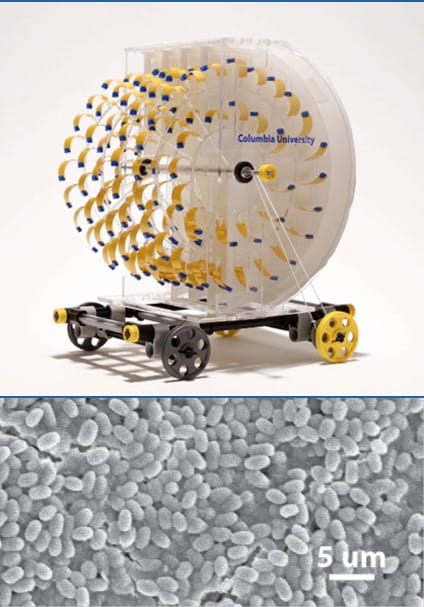 Rotary engine (top) harnesses energy from evaporation to drive a miniature car.