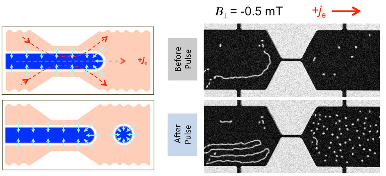 A stripe-shaped magnetic region (domain), shown in blue (top left) in an ultrathin film device (orange structure). The narrowing region of the device causes the current distribution to change (two of the three red arrows change direction), leading to the breakdown of the magnetic domain into circular disk-shaped bubbles, called skyrmions (bottom left) Magnetic skyrmion bubbles (bottom right) were experimentally observed using magnetic imaging.