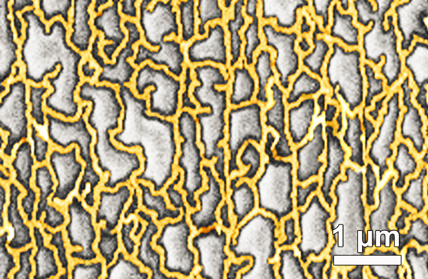 Tuning topology and adhesion of metal nanomeshes has led to super stretchable, transparent electrodes that don’t wear out.
