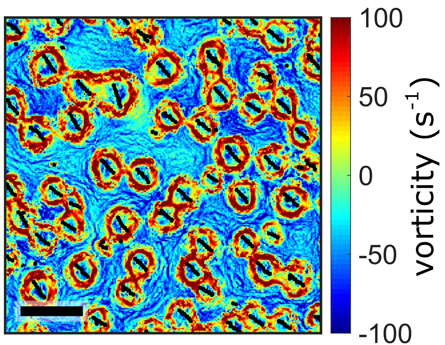 Vorticity image of particles, red circles on a blue swirling background.
